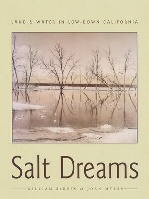 cover image of Salt Dreams: Land & Water in Low-Down California